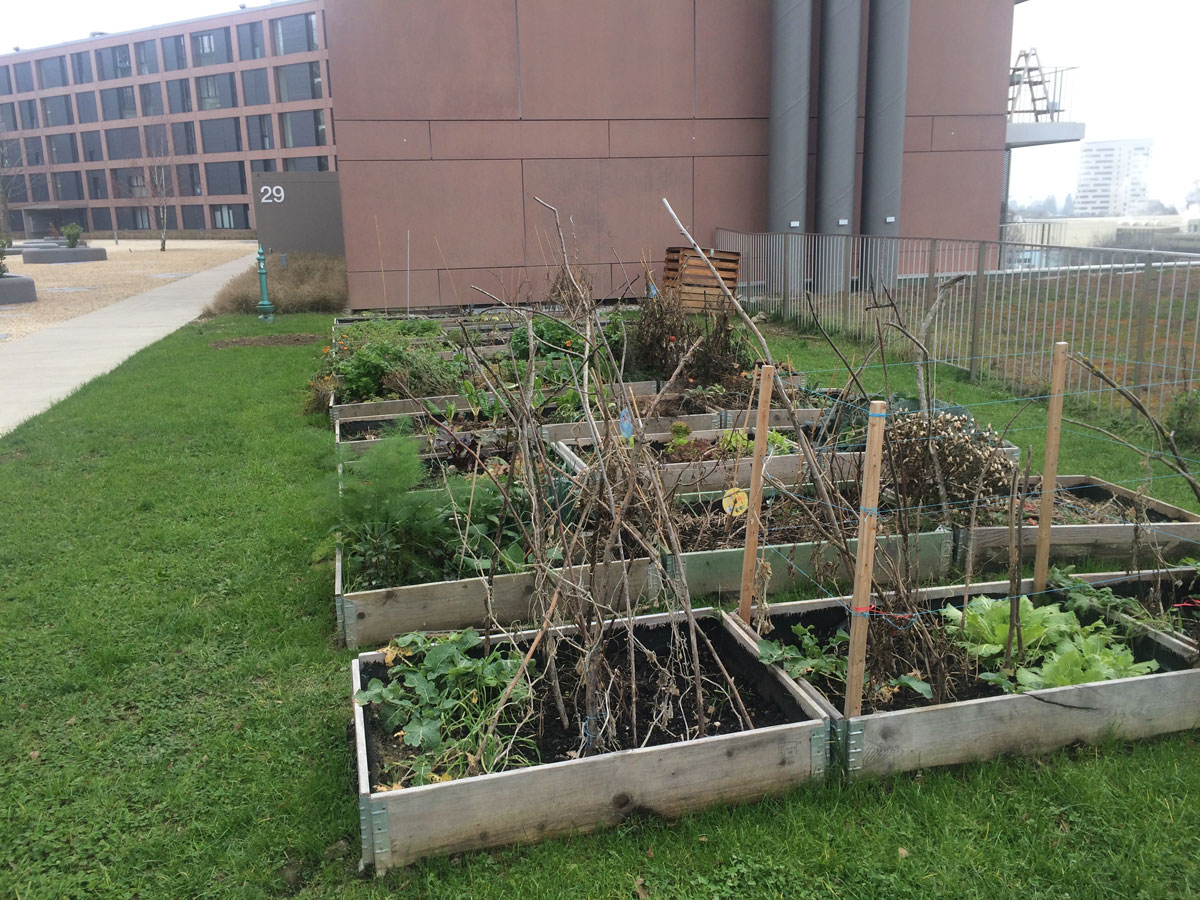 potagers